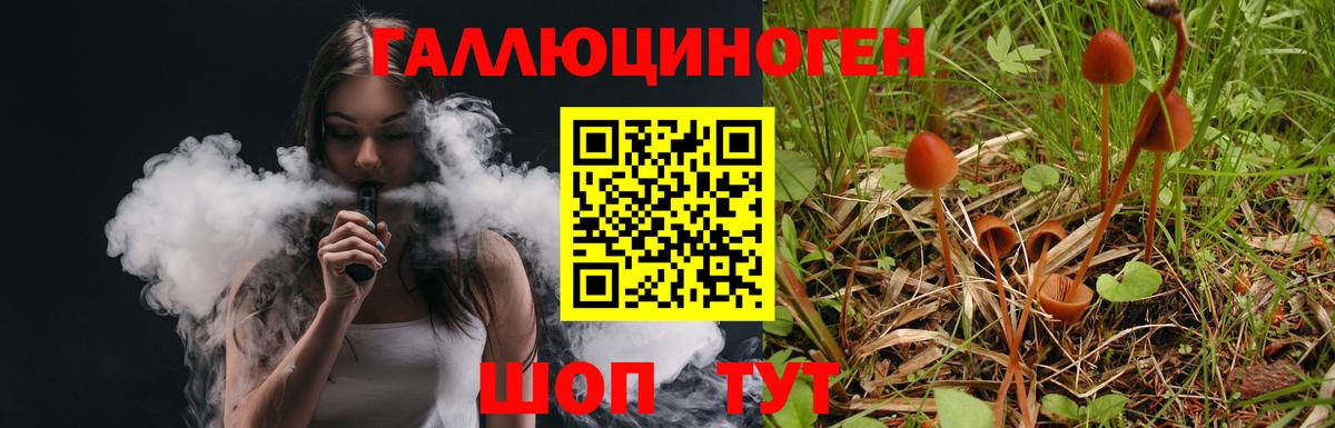 Белебей  Галлюциногенные грибы Psilocybe  Вход с VPN  Псилоцибиновые грибы MAGIC MUSHROOMS 