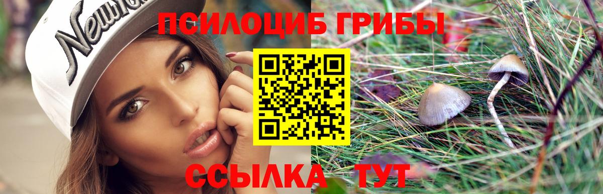 Псилоцибиновые грибы Psilocybe Белебей